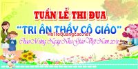 Phông nền ngày nhà giáo Việt Nam 20-11 0005