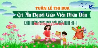 Phông nền ngày nhà giáo Việt Nam 20-11 0058
