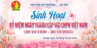 Phông nền ngày phụ nữ Việt Nam 20-10 0072